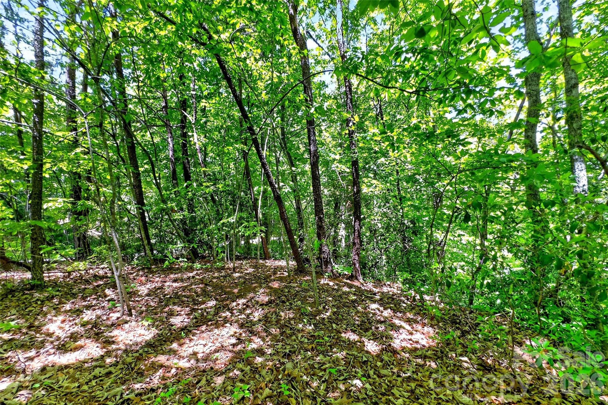 Acreage at Lake Lure, photo 2 of 34