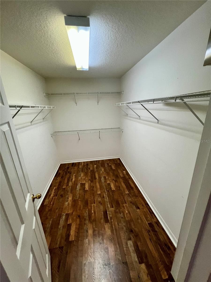 walk-in Closet - 13672 CYGNUS DR, ORLANDO