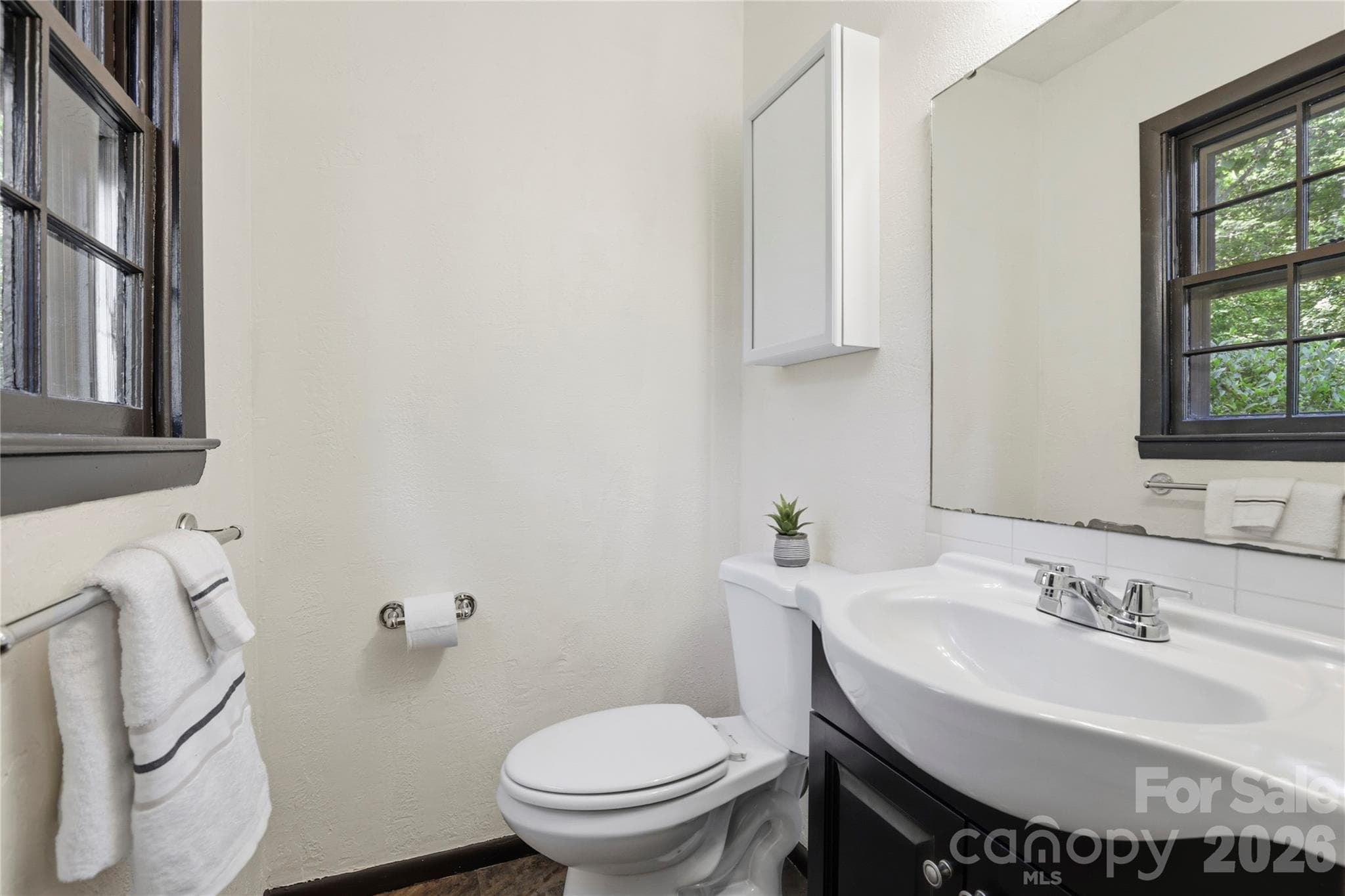 En Suite half bath off primary bedroom - 38 Nixon Terrace, Asheville