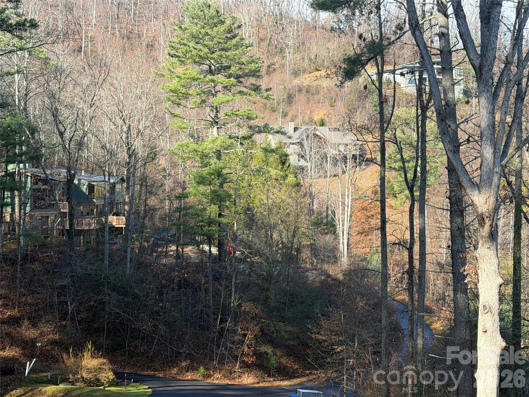 All of the exclusive homes in the Grove Park Cove neighborhood are nestled into an incredible natural setting - imagine the beauty of your daily walks. - Asheville