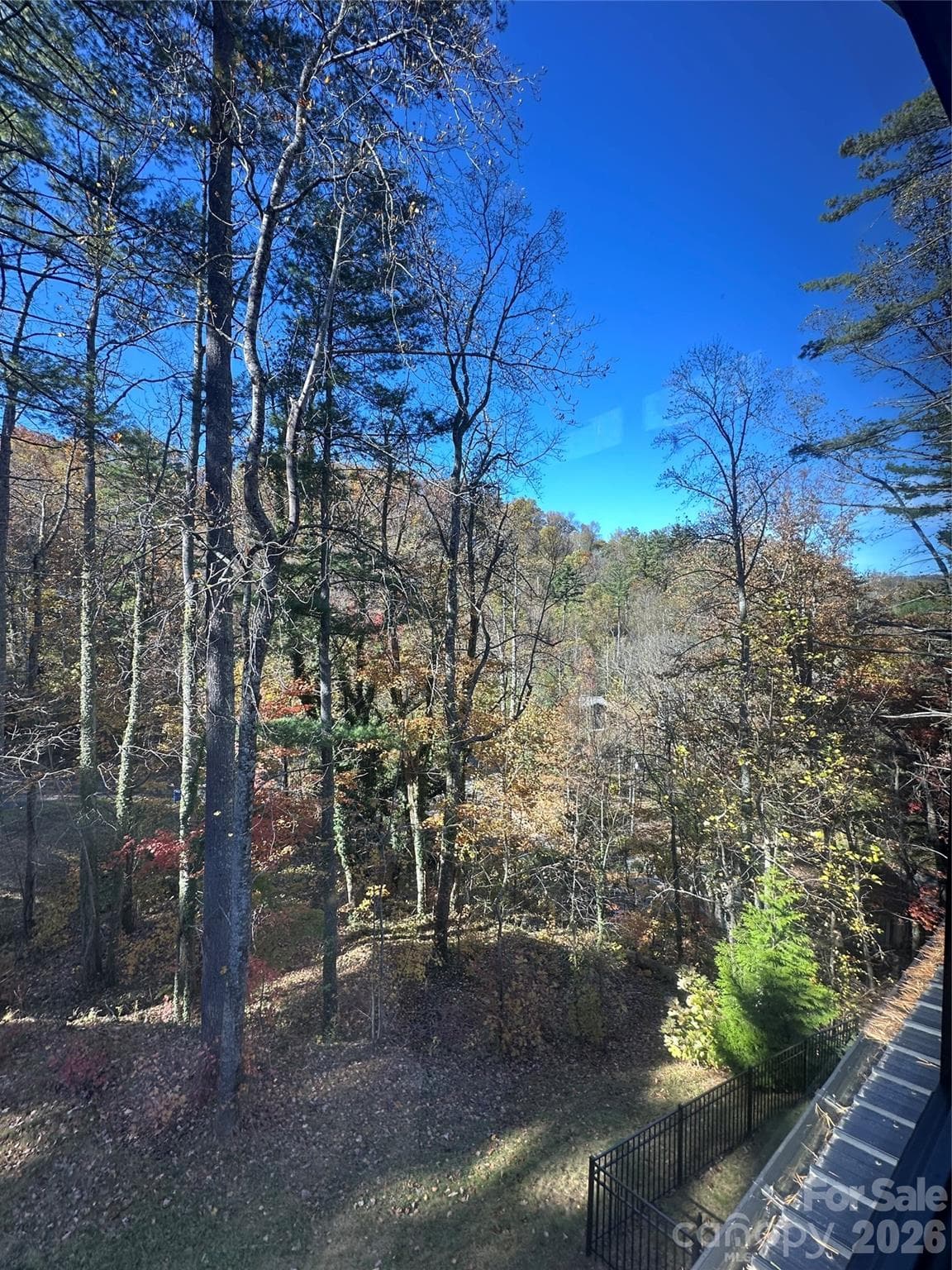 One of many incredible vistas for you to enjoy. - Asheville