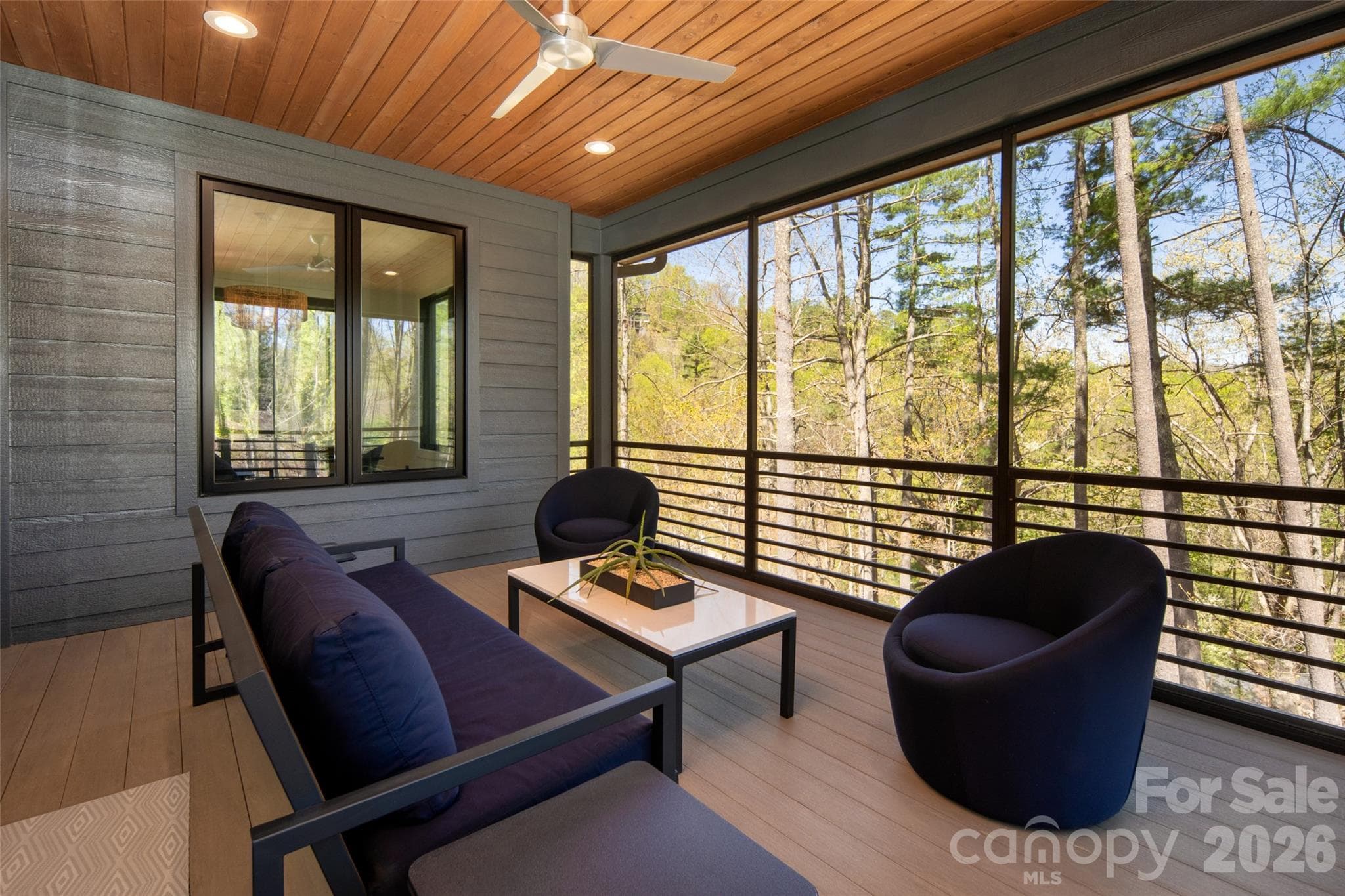 Outdoor covered and screened porch on main level overlooks lushly landscaped yard, mature trees and amazing winter mountain views. - Asheville