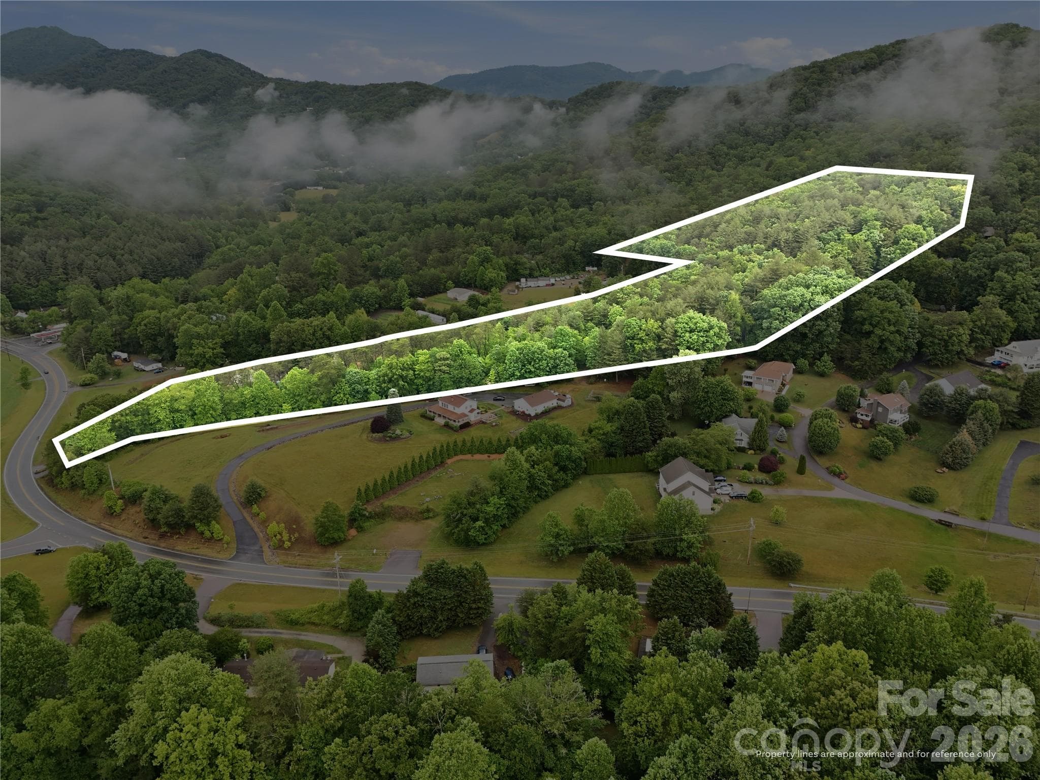 Acreage at 99999 Pisgah Highway, Candler, photo 3 of 13