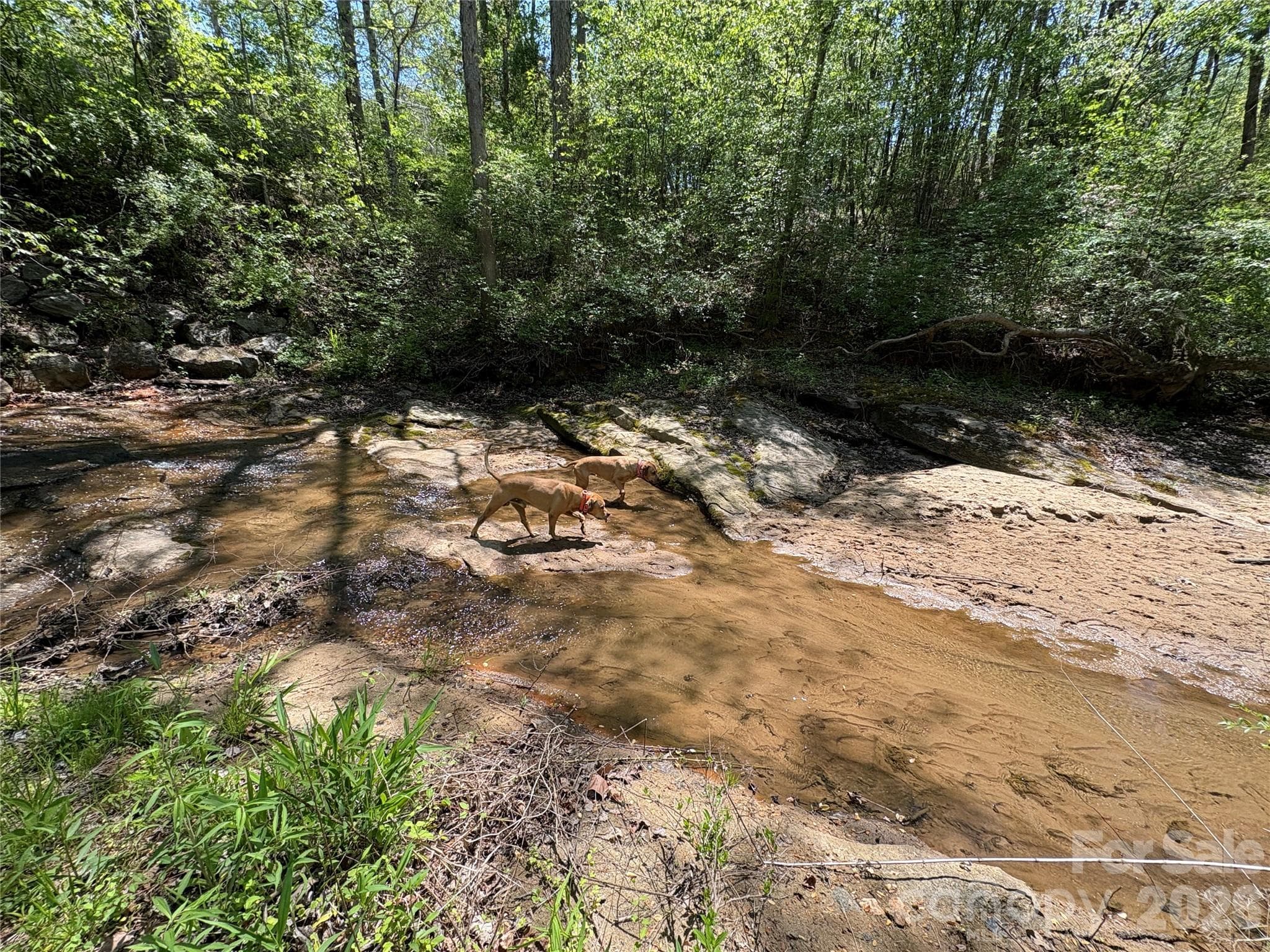 Lot at 06 Hopewell Church Road, Hiddenite, photo 6 of 33