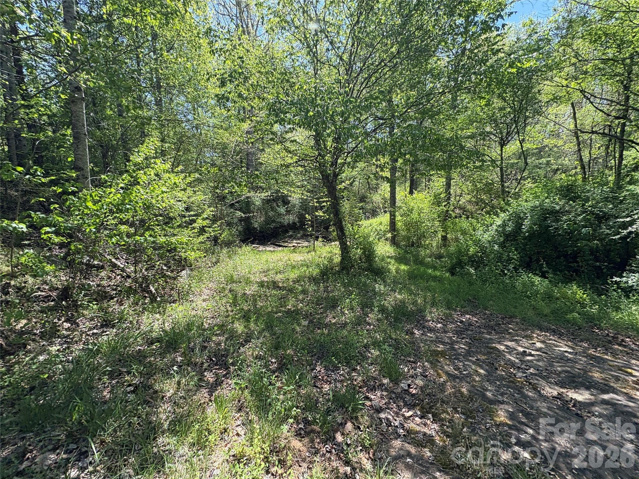 Lot at 06 Hopewell Church Road, Hiddenite, photo 7 of 33