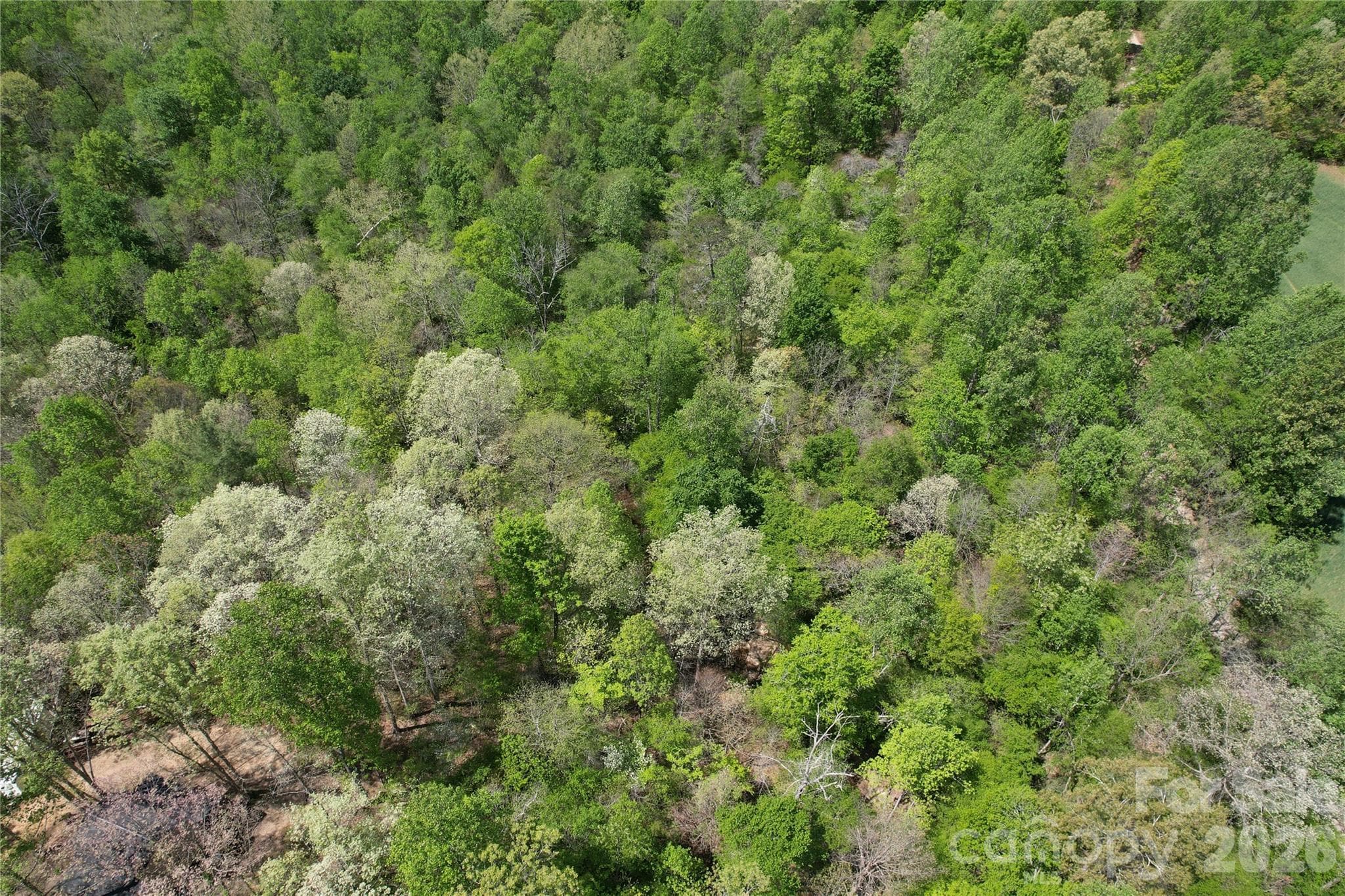Lot at 06 Hopewell Church Road, Hiddenite, photo 10 of 33