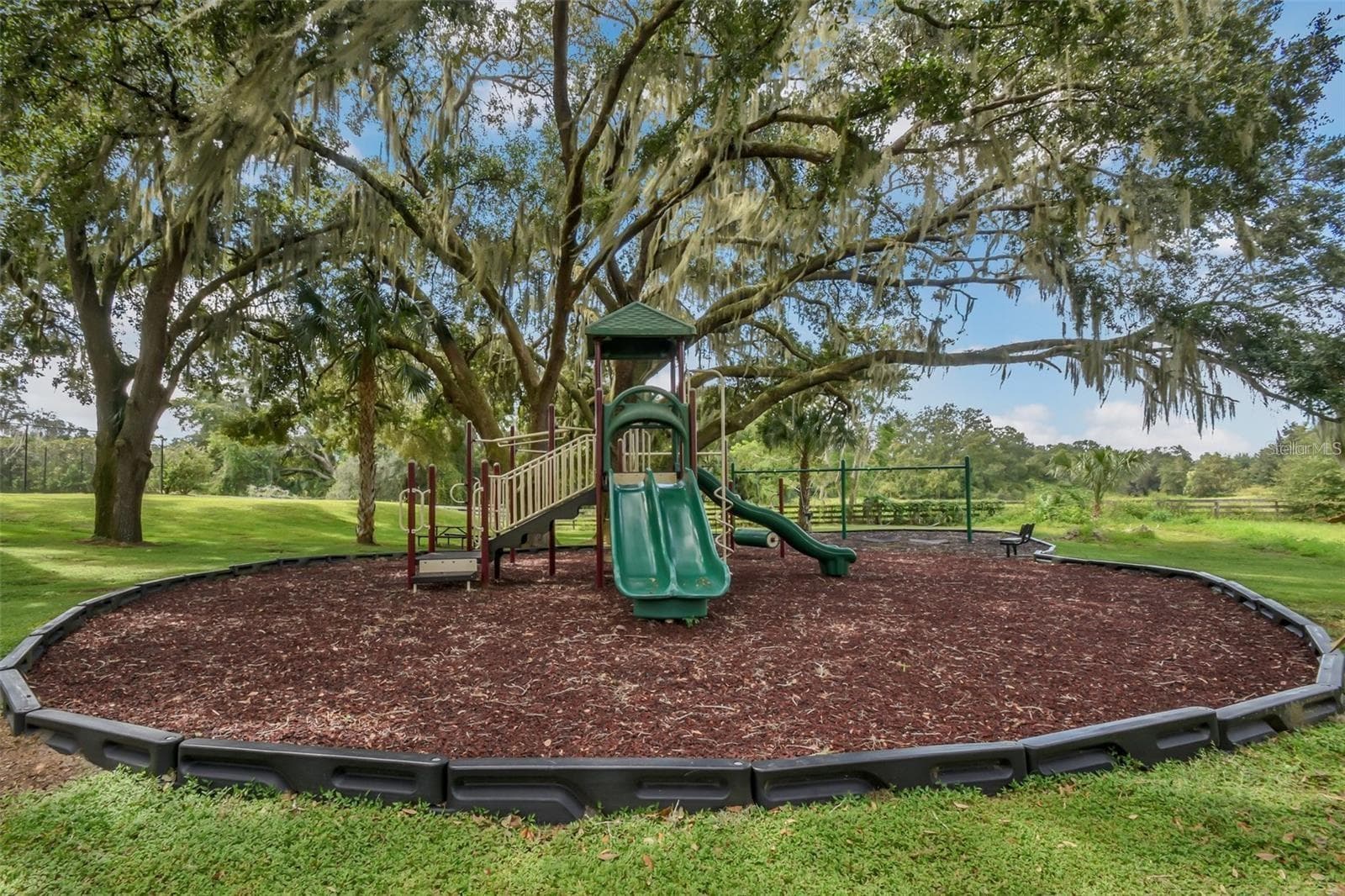 Single Family Residence at 24215 WELDON DR, EUSTIS, photo 53 of 58