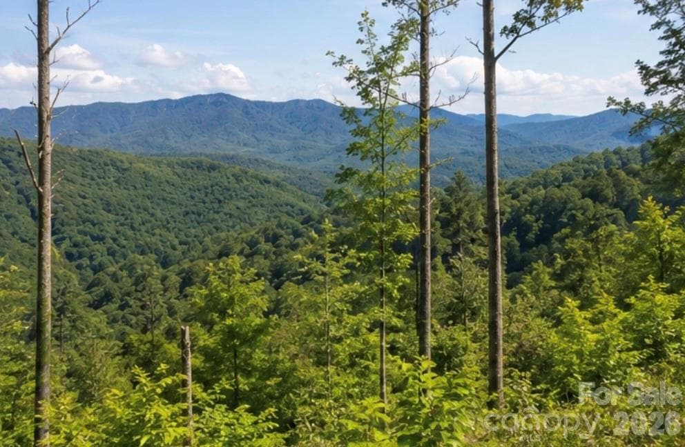 Lot at 103 One Feather Road, Whittier, photo 6 of 9
