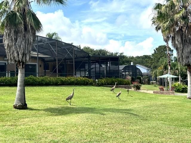 Frequent Visitors - 11325 PRESTON COVE RD, CLERMONT