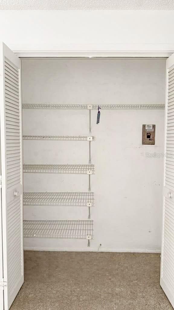 Bonus Room Closet - 12922 WEDGEWOOD WAY #A, HUDSON