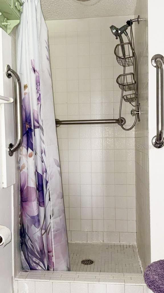 Primary shower stall with safety bars already inplace - 12922 WEDGEWOOD WAY #A, HUDSON