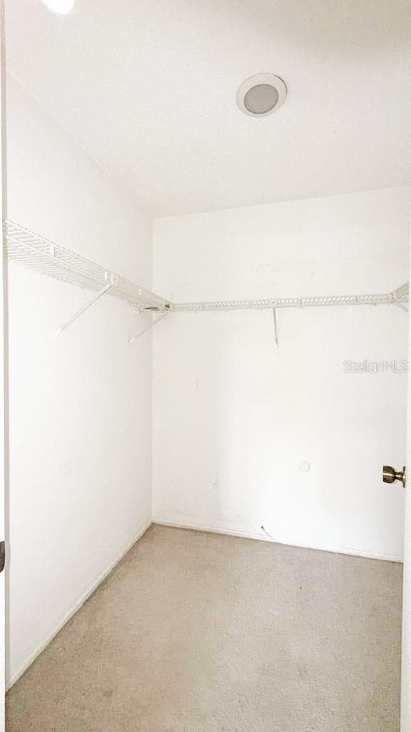Primary walk-in closet 2 - 12922 WEDGEWOOD WAY #A, HUDSON