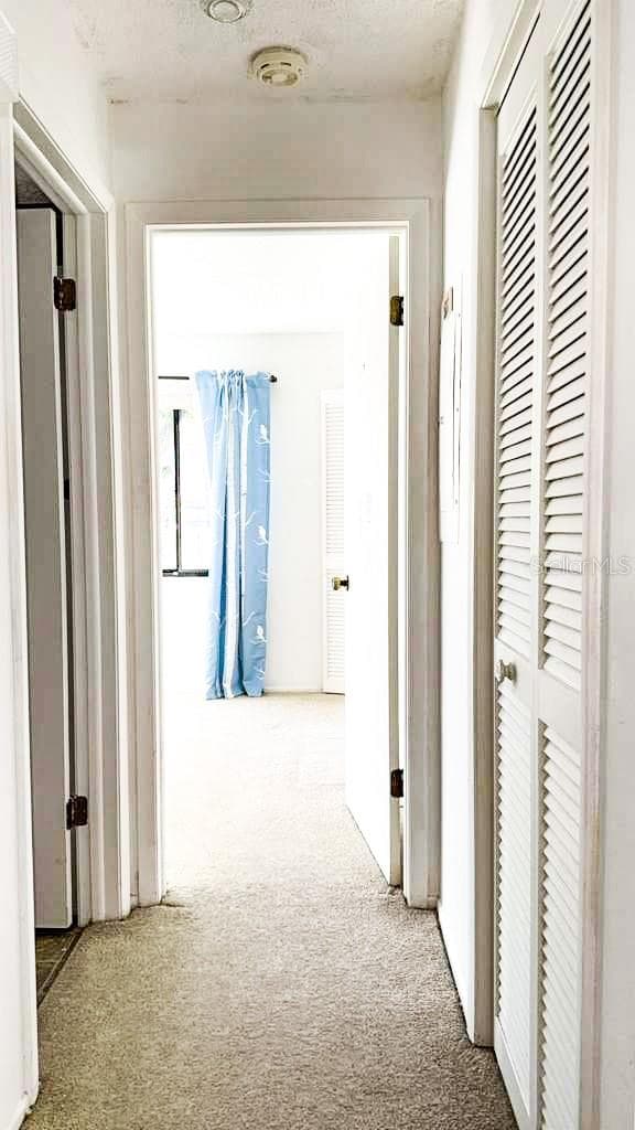 hall way to second bathroom and bedroom off of the bonus room - 12922 WEDGEWOOD WAY #A, HUDSON