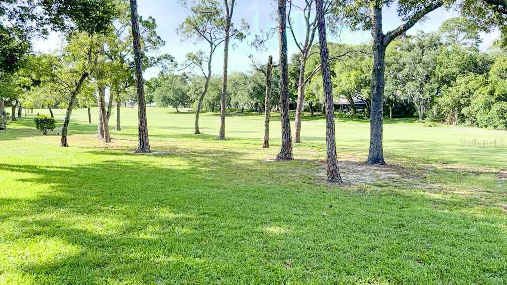 Your back yard a piece of Florida Golf lifestyle - 12922 WEDGEWOOD WAY #A, HUDSON
