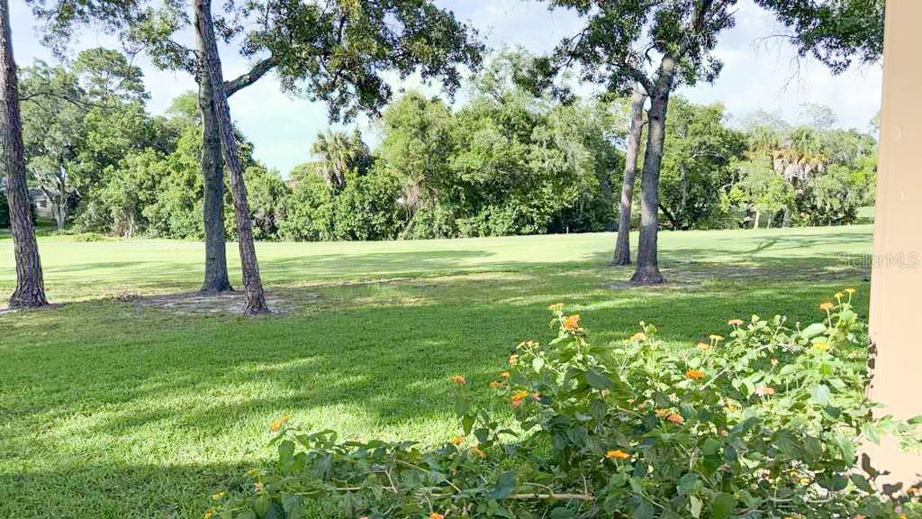 Still your back yard - 12922 WEDGEWOOD WAY #A, HUDSON