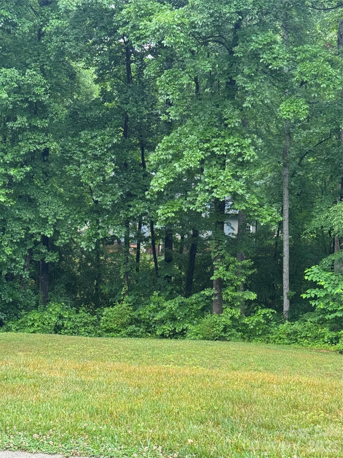 Lot at Troutman, photo 2 of 4