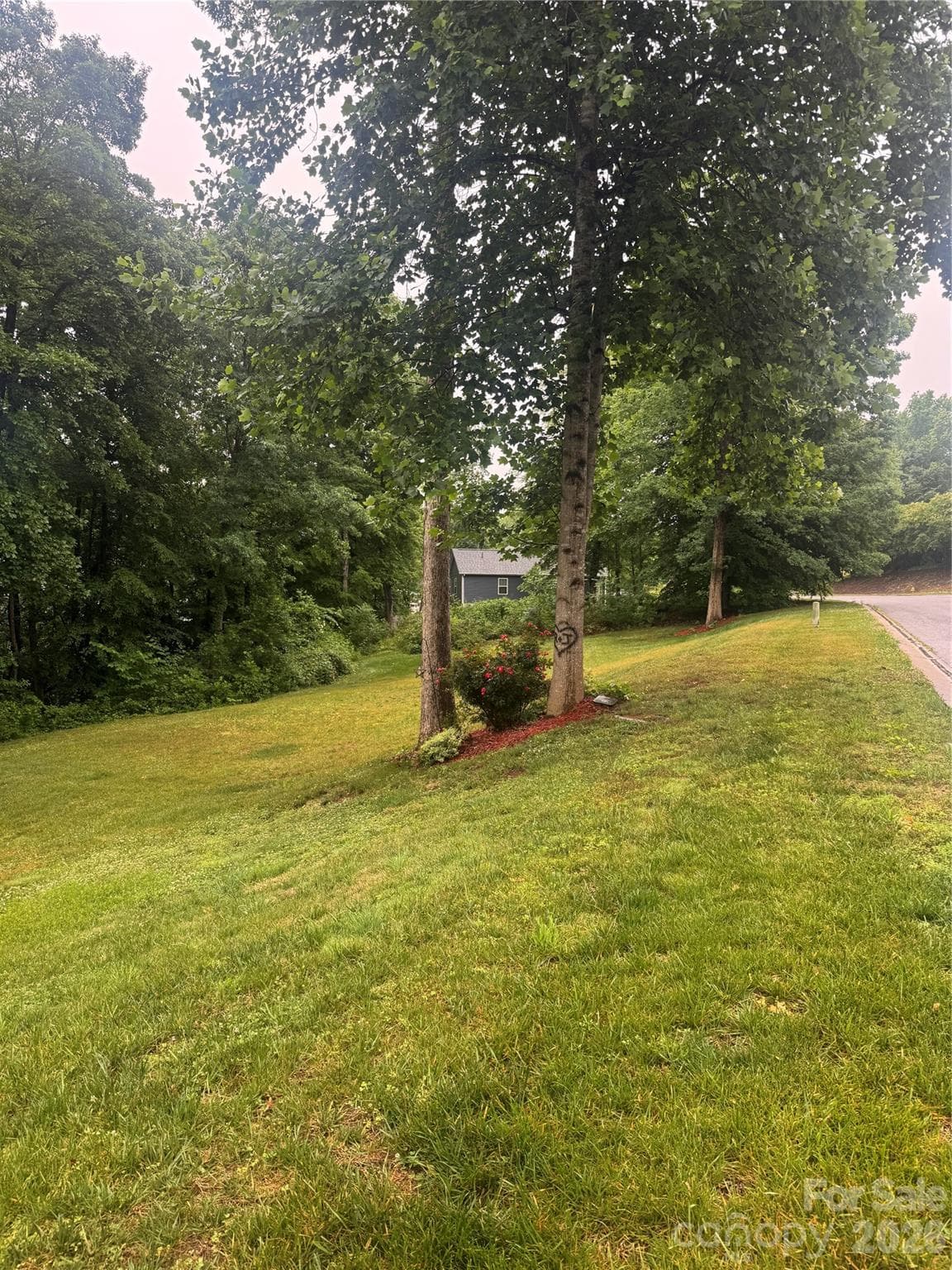 Lot at Troutman, photo 3 of 4