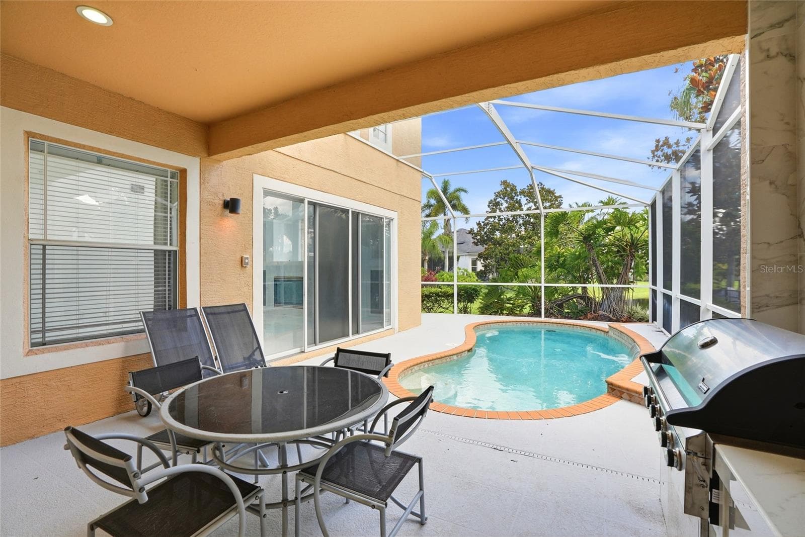 Lanai/Pool - 11637 BRISTOL CHASE DR, TAMPA