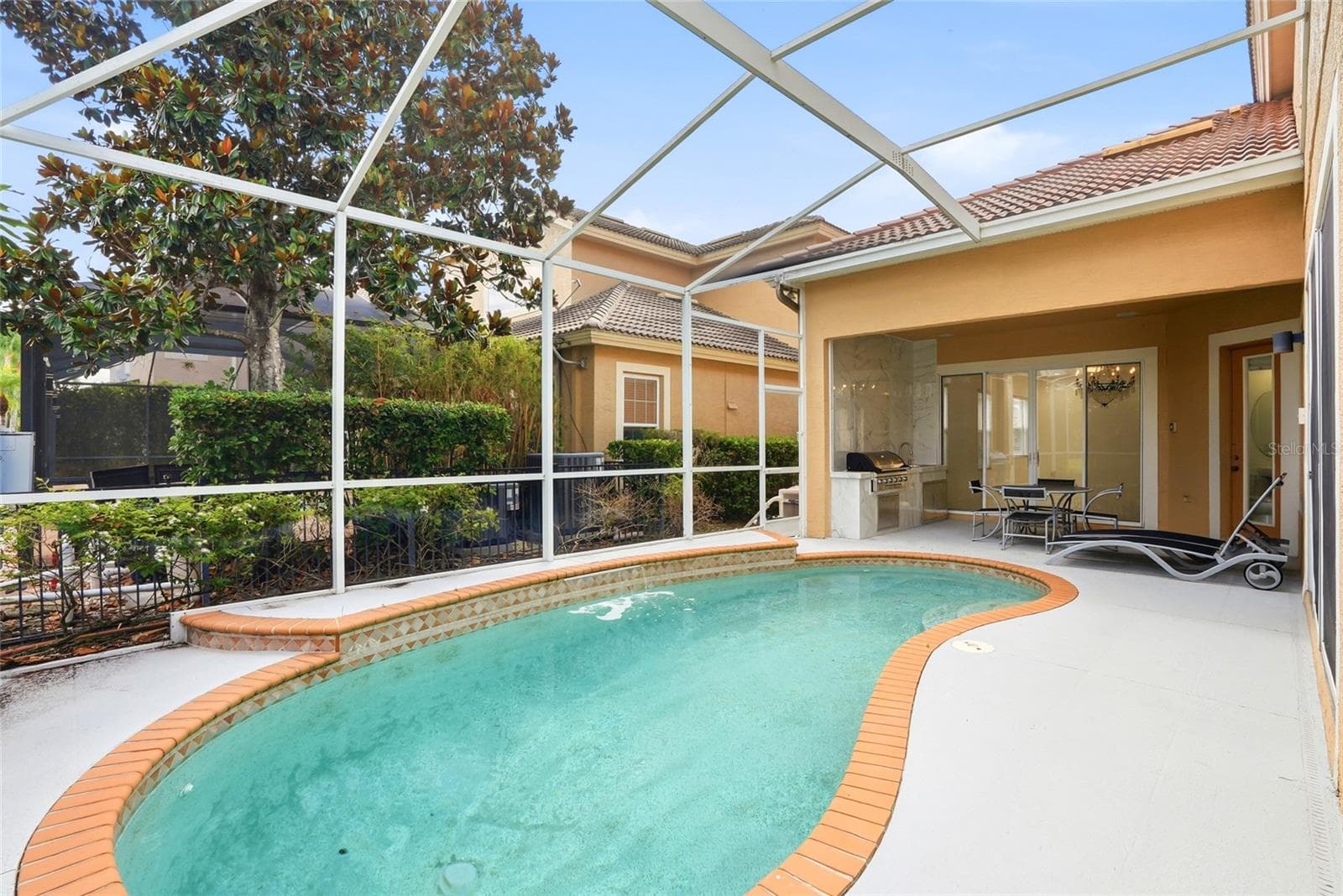 Pool/Lanai - 11637 BRISTOL CHASE DR, TAMPA