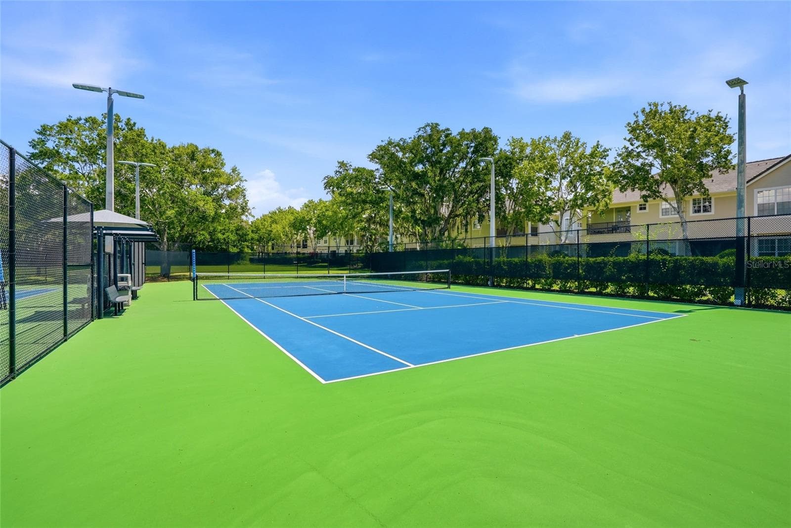 Community Tennis/Pickleball Courts - 11637 BRISTOL CHASE DR, TAMPA