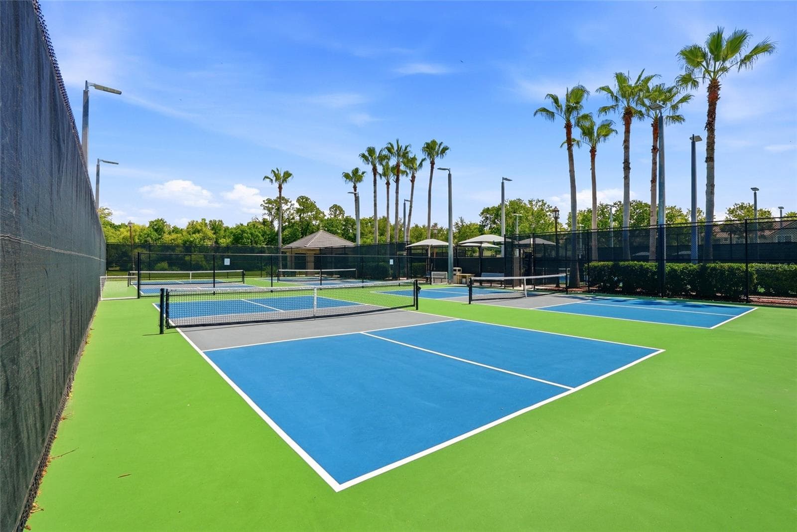 Community Tennis/Pickleball Courts - 11637 BRISTOL CHASE DR, TAMPA