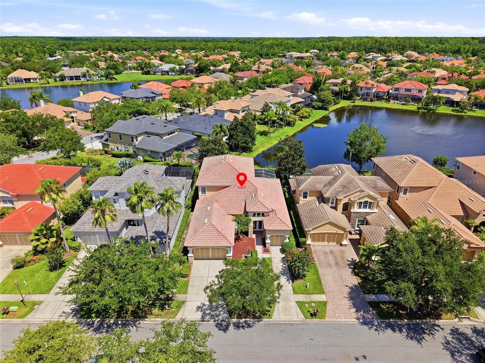 Aerial View - 11637 BRISTOL CHASE DR, TAMPA