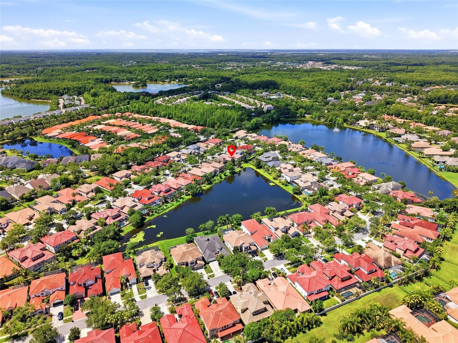Aerial View - 11637 BRISTOL CHASE DR, TAMPA