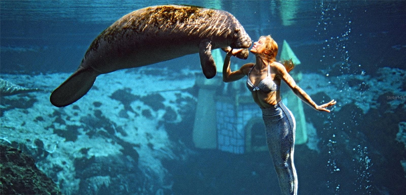 Mermaid Show at Weeki Wachee State Park - 7149 SPRUCE DR, WEEKI WACHEE