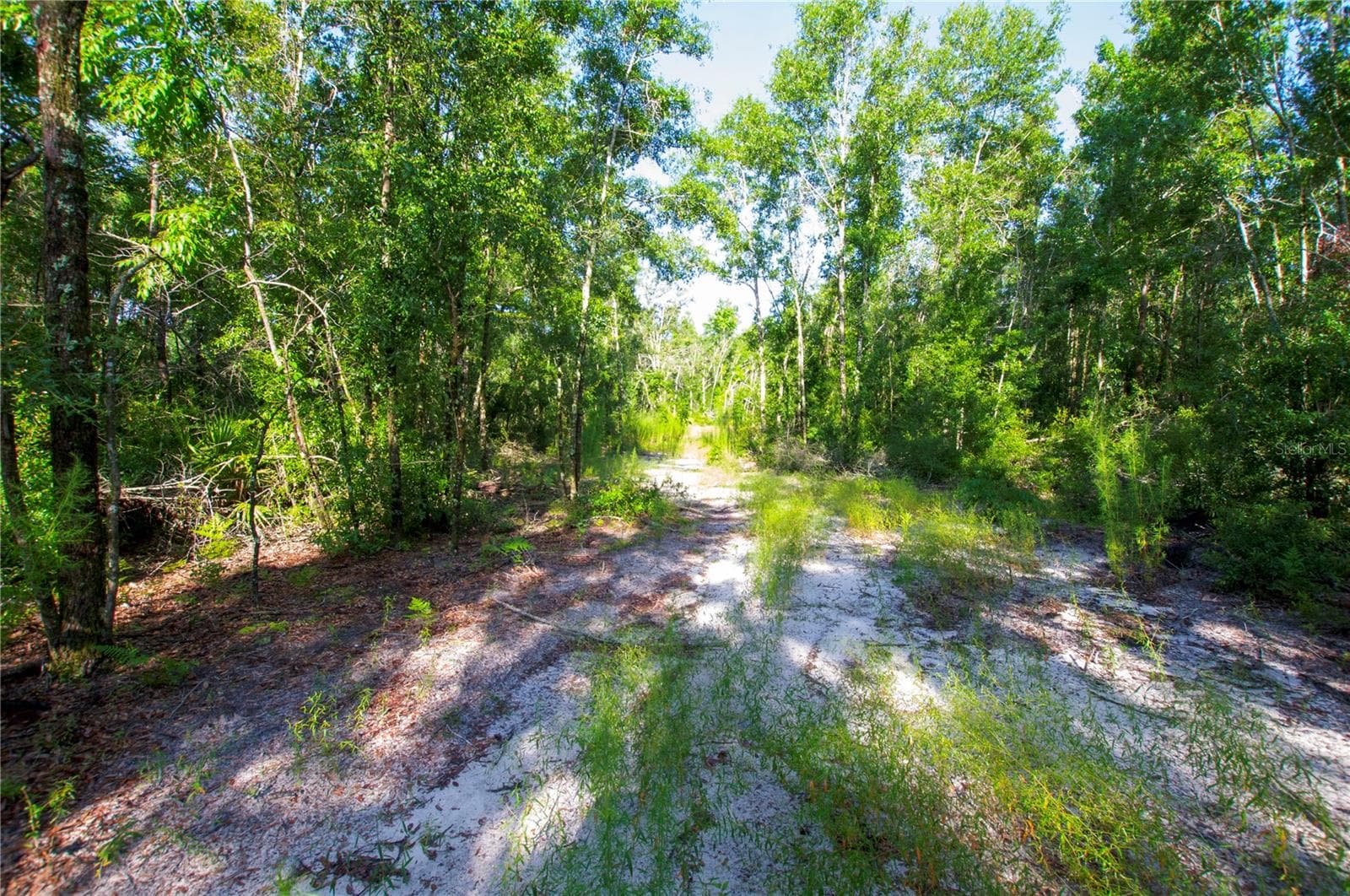 Land at 18233 185TH RD, LIVE OAK, photo 65 of 96
