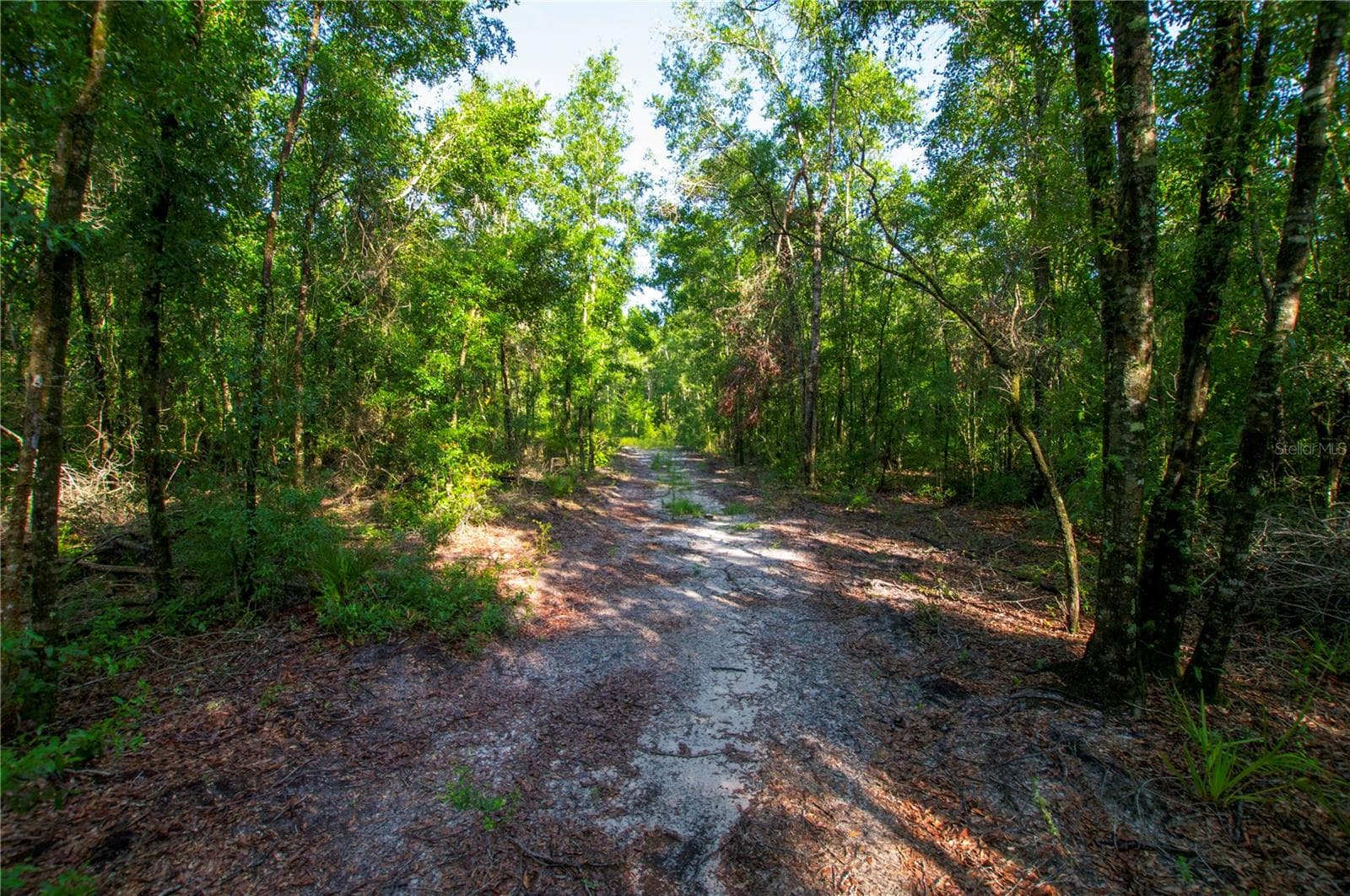 Land at 18233 185TH RD, LIVE OAK, photo 66 of 96