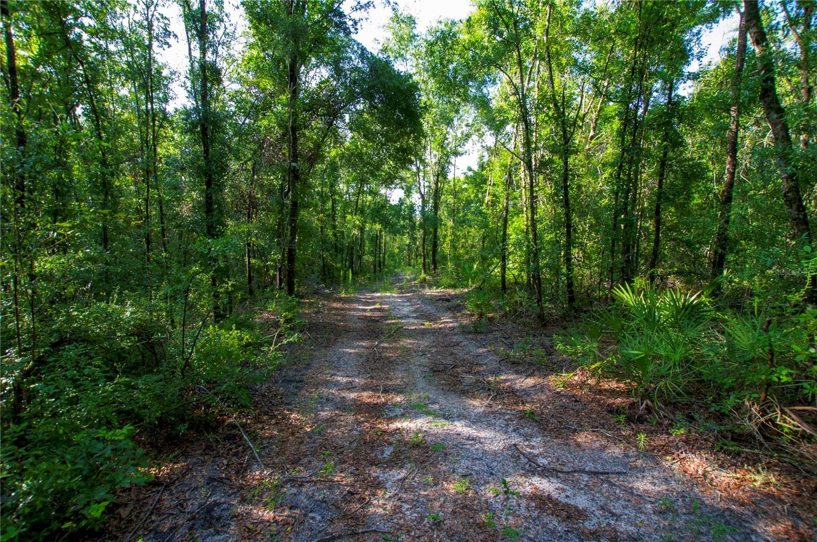 Land at 18233 185TH RD, LIVE OAK, photo 67 of 96