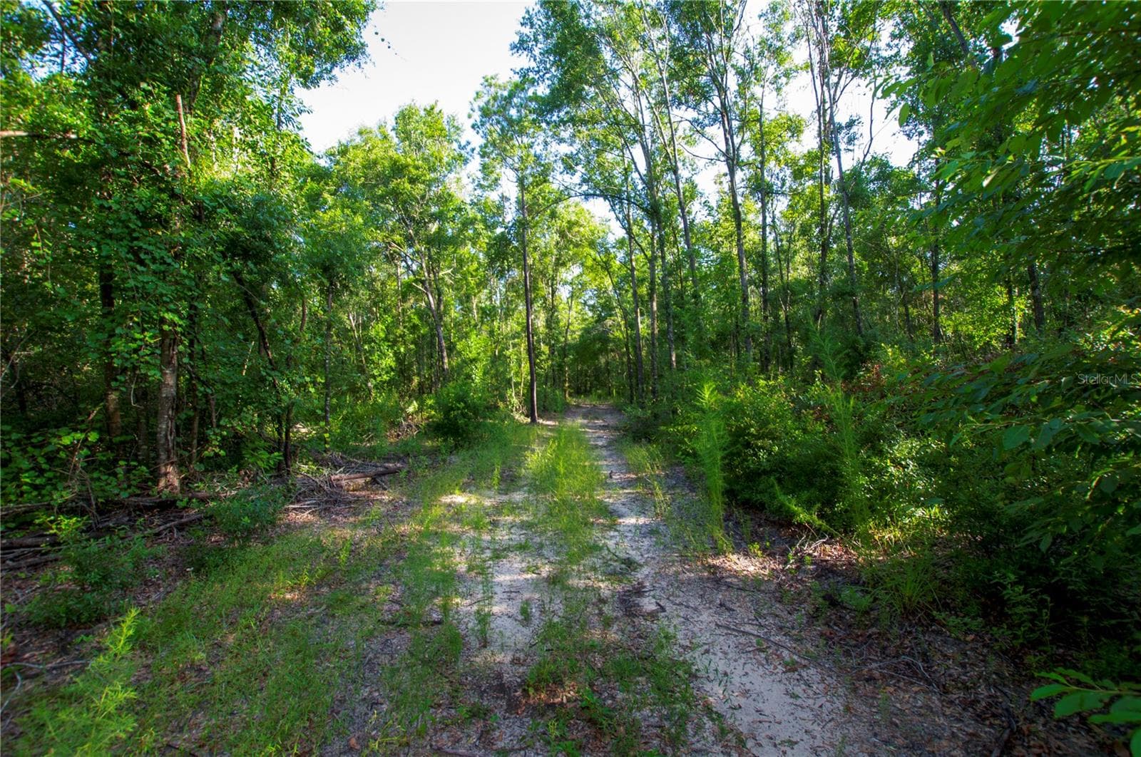 Land at 18233 185TH RD, LIVE OAK, photo 68 of 96