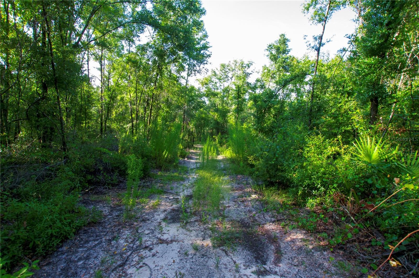 Land at 18233 185TH RD, LIVE OAK, photo 69 of 96