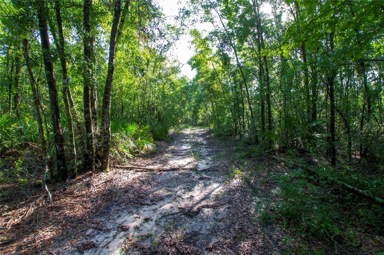 Land at 18233 185TH RD, LIVE OAK, photo 70 of 96