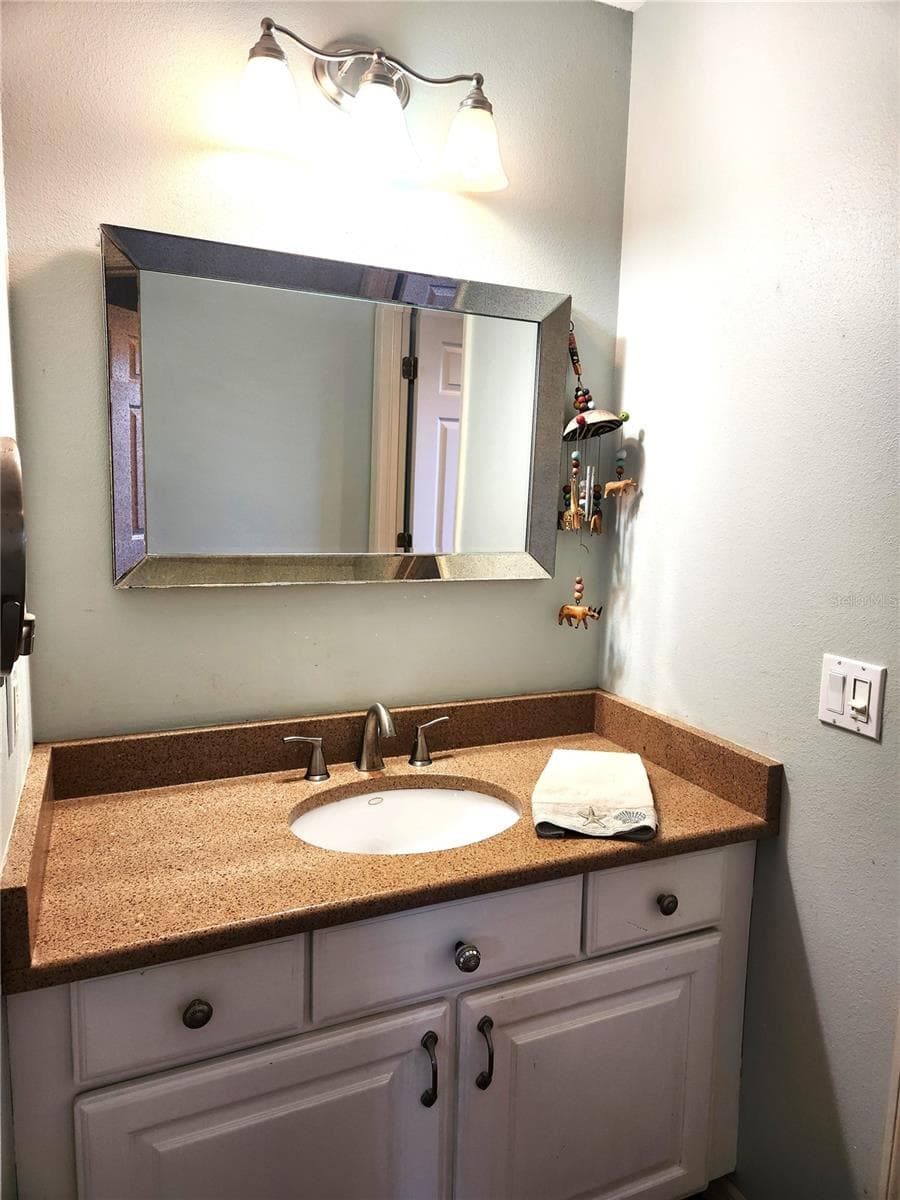 Primary vanity area separate from bath area for comfortable grooming without the shower steam - 316 ALBA ST E, VENICE