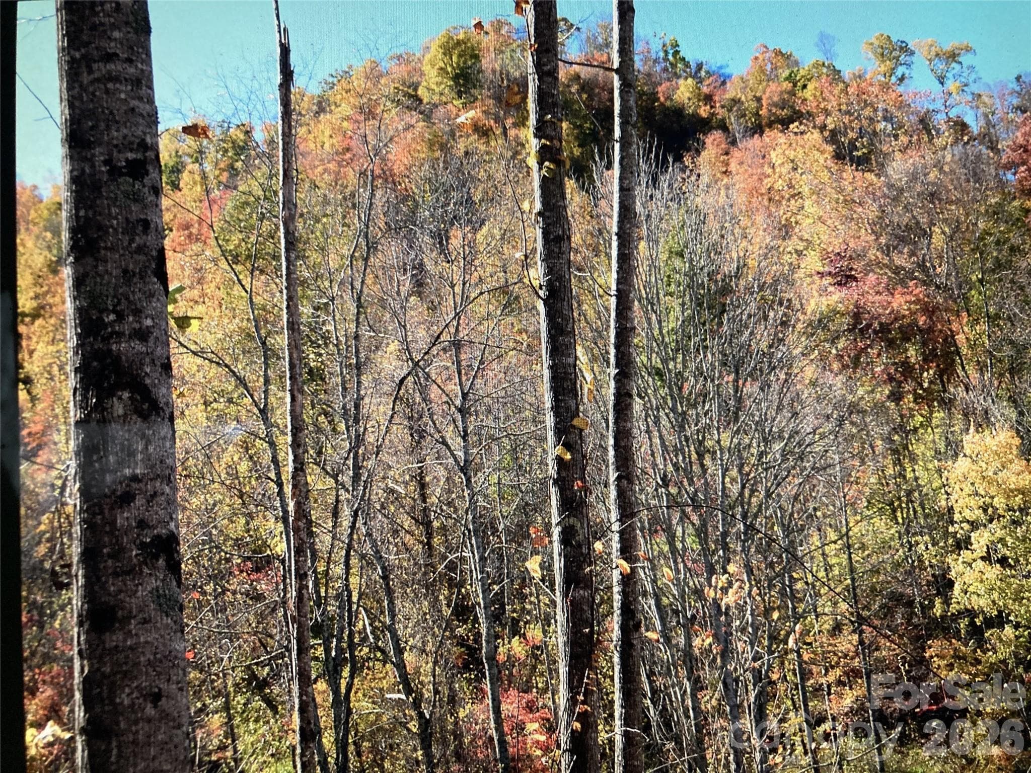 Acreage at Burnsville, photo 10 of 22