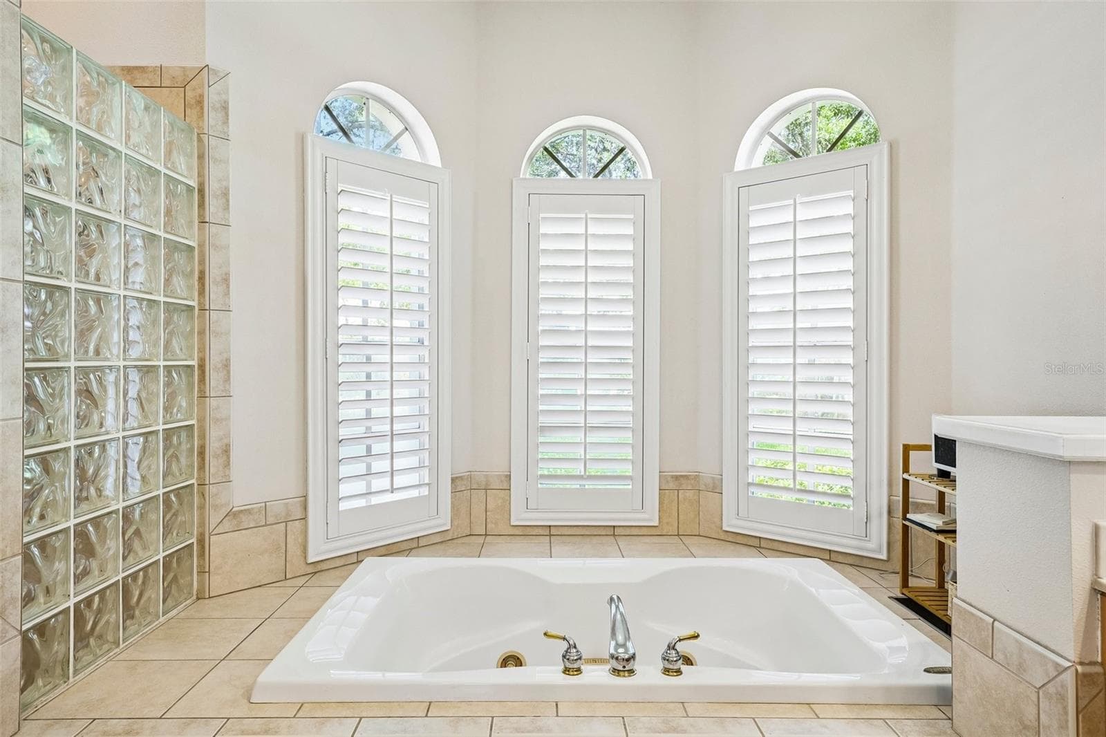 Garden jet bathtub - 9039 WATERASH LN N, PINELLAS PARK