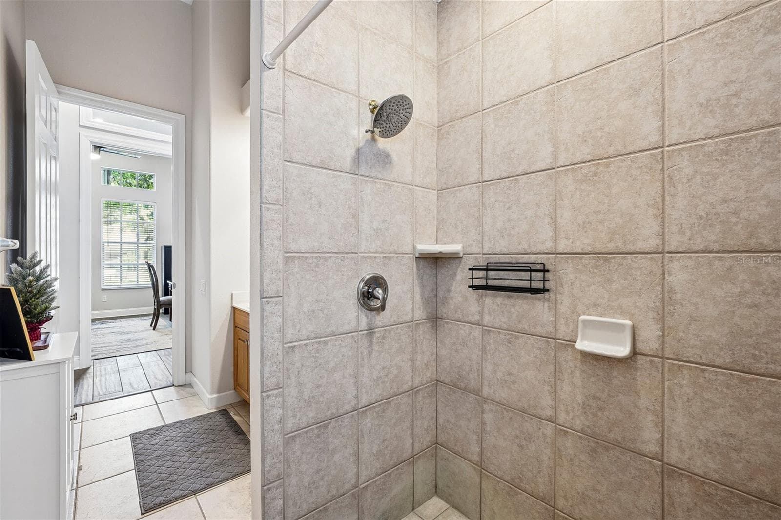 Second bathroom with walk-in shower - 9039 WATERASH LN N, PINELLAS PARK