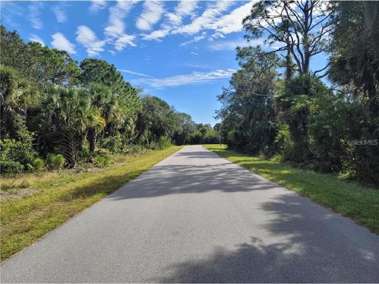 523 MCDILL DR