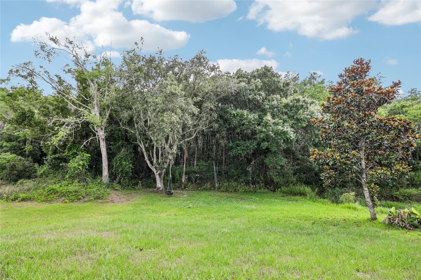 Single Family Residence at 1982 LOCUST BERRY DR, KISSIMMEE, photo 48 of 50