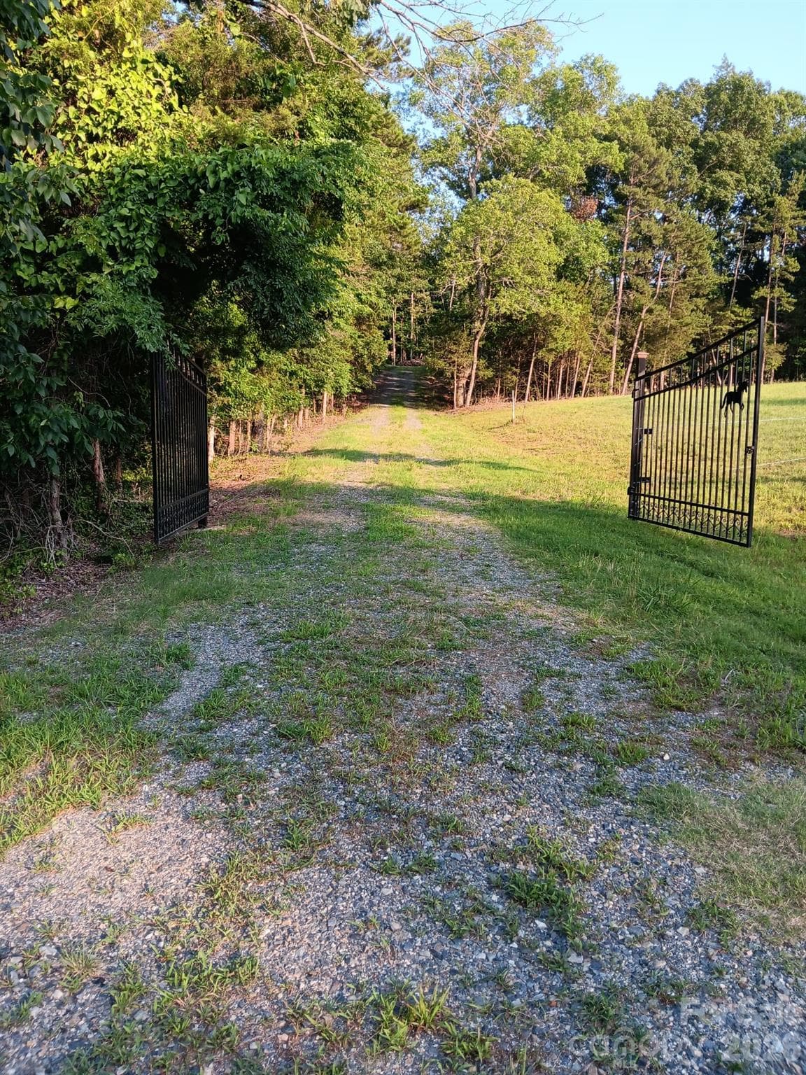 Lot at Charlotte, photo 2 of 16