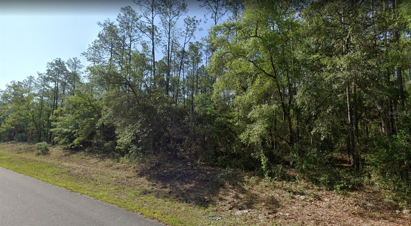 546 E BIMINI DR