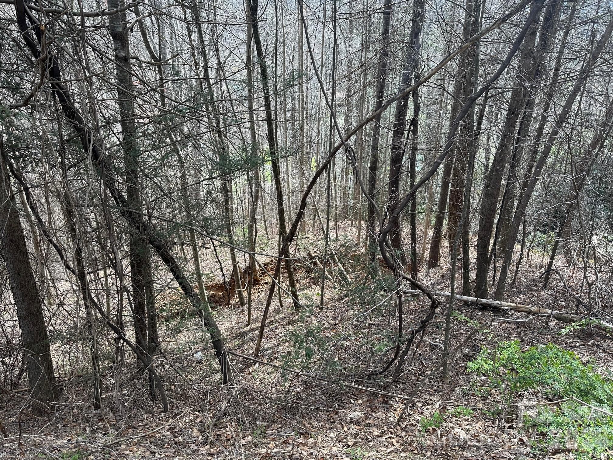 Lot at Hendersonville, photo 3 of 5