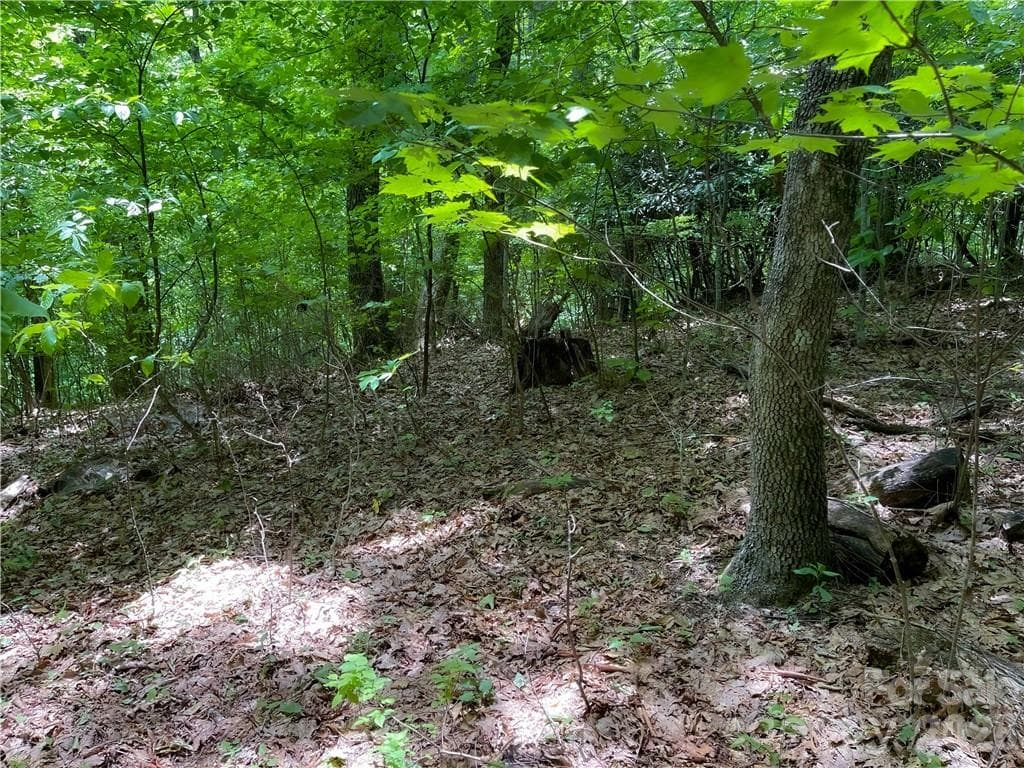 Lot at L-36 Saint Moritz Lane, Spruce Pine, photo 4 of 13