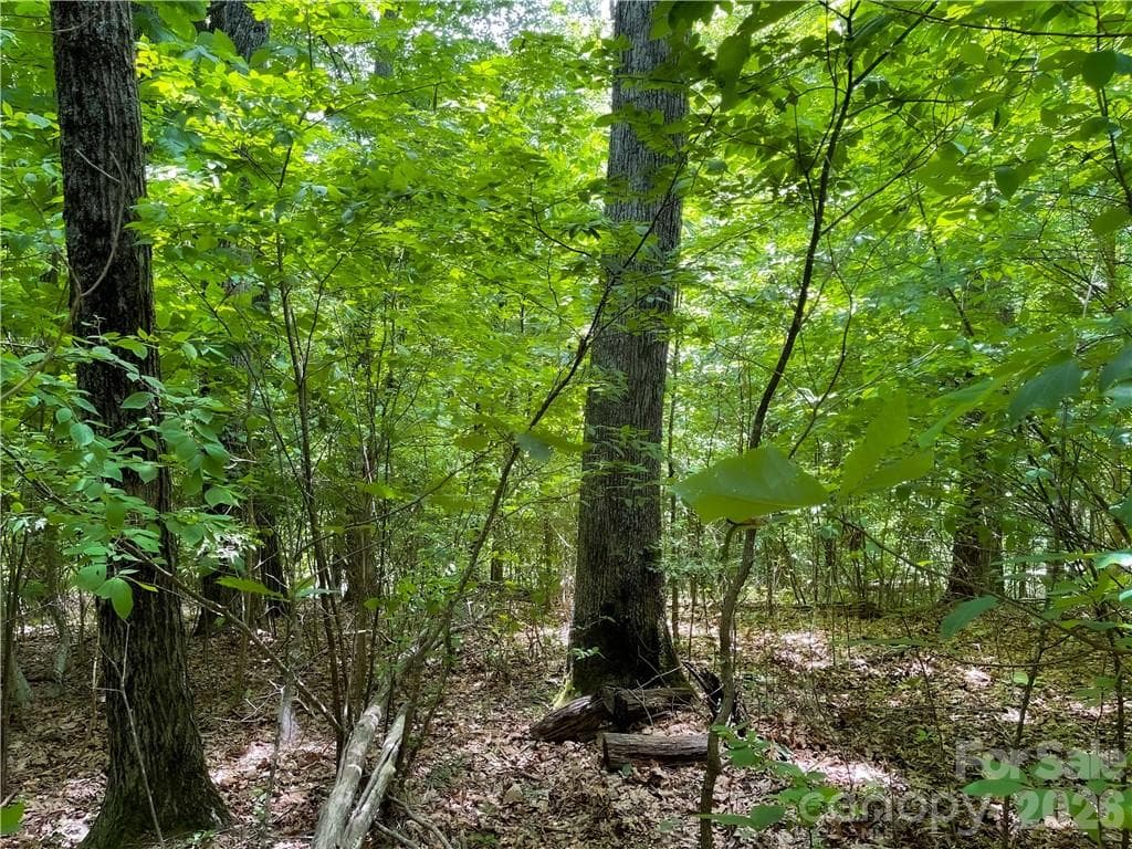 Lot at L-36 Saint Moritz Lane, Spruce Pine, photo 5 of 13