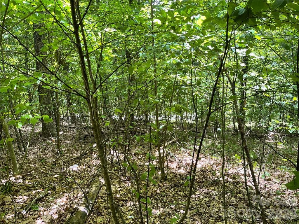 Lot at L-36 Saint Moritz Lane, Spruce Pine, photo 6 of 13