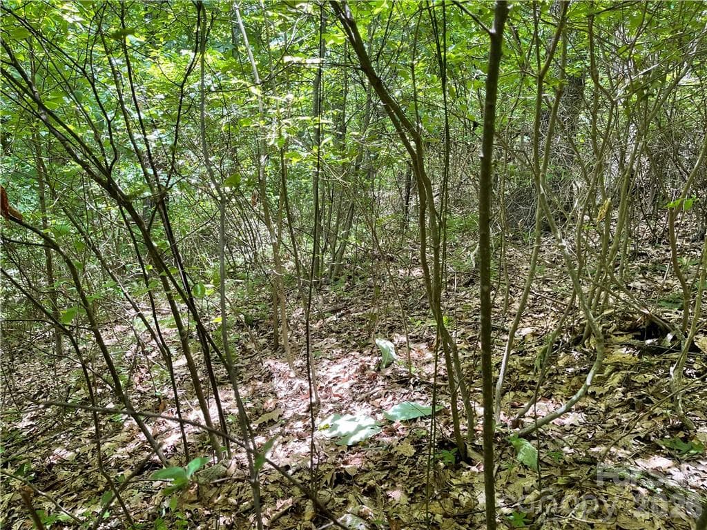 Lot at L-36 Saint Moritz Lane, Spruce Pine, photo 7 of 13