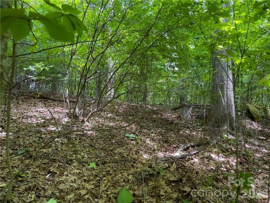 Lot at L-36 Saint Moritz Lane, Spruce Pine, photo 8 of 13