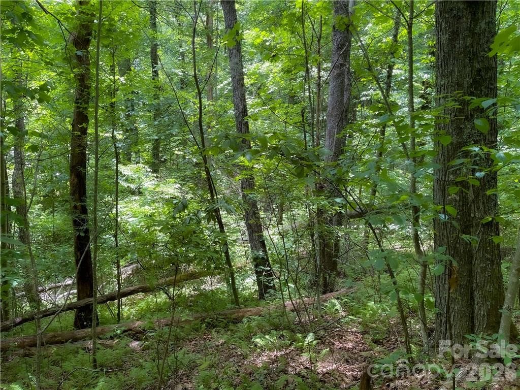 Lot at L-36 Saint Moritz Lane, Spruce Pine, photo 9 of 13