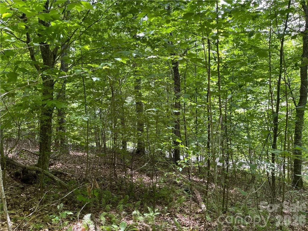 Lot at L-36 Saint Moritz Lane, Spruce Pine, photo 10 of 13